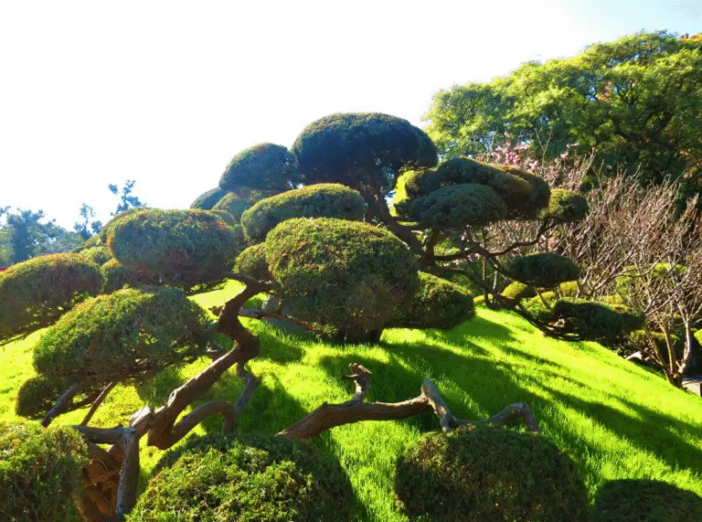 How to Plan a 2-Day Xiamen Tour